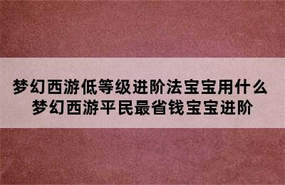 梦幻西游低等级进阶法宝宝用什么 梦幻西游平民最省钱宝宝进阶